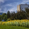 VELENJE-Foto Miško Kranjec.jpg