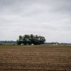 volkswagen, starodobna-vozila, vw-klub-keeber-rakičan
