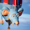 sobota-balonfest, sobota-balonfest-2025