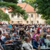 glasbeno-dozivetje-pod-krosnjami, beltinci, alfi-nipic, ansambel-kunstosi