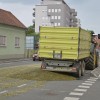 razsut-tovor, lendavska-ulica, bučno-seme