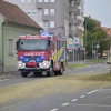 razsut-tovor, lendavska-ulica, bučno-seme