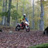 motorno kolo gozd motorist