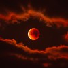 krvava luna