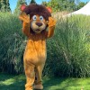 junaki-3-nadstopja, lions