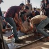 gaza.jpg