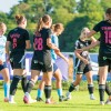 sznl, 4-krog, znk-mura-nona, znk-gazon, bratonci