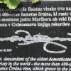 mestna-trta, trgatev