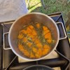 festival-divje-hrane