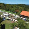 festival-divje-hrane