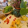 festival-divje-hrane