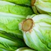 solata