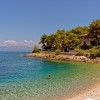 solta