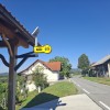busko, raka, cakalisca