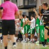 mrk-krka, stopice