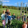 dnevi-zeliscarstva-v-beli-krajini