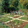 dnevi-zeliscarstva-v-beli-krajini