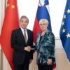 Wang Yi, nataša pirc musar