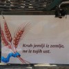 39-straska-jesen, kruh-nas-vsakdanji