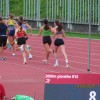 ak-krka, pionirji