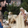 festival-narodnih-nos, kamnik