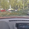 neurje