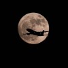 letalo polna luna