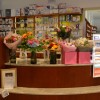 lekarna-sevnica, novi-prostori, 100-let