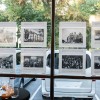 ginko-miru, vrt-spominov-in-tovaristva, petanjci, ustanova-dr-siftarjeva-fundacija, kitajska