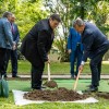 ginko-miru, vrt-spominov-in-tovaristva, petanjci, ustanova-dr-siftarjeva-fundacija, kitajska