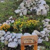 drustvo-mehovo, ks-podgrad