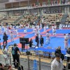 kk-brezice