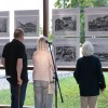 ginko-miru, vrt-spominov-in-tovaristva, petanjci, ustanova-dr-siftarjeva-fundacija, kitajska