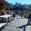 ljubljansko-barje, koliscarji