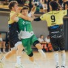 nlb-liga, mrk-krka