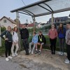 ekonomska-sola-novo-mesto, pes-v-solo