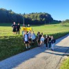 ekonomska-sola-novo-mesto, pes-v-solo