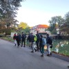 ekonomska-sola-novo-mesto, pes-v-solo