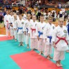 kk-brezice
