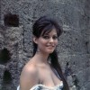 Claudia Cardinale (1).jpg