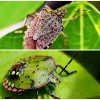 photo-collage.png (5).png