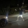 posnetek zaslona Istrski.png