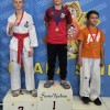taekwondo