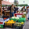 zveza-turisticnih-drustev-obcine-zalec, obcina-zalec, svetovni-dan-turizma, lokalni-utrip