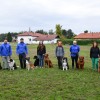 obcina-lendava, lui, kuza