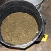 zaseg, droga, denar