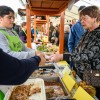 strudeljfest, ivancna-gorica