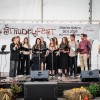 strudeljfest, ivancna-gorica
