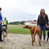 obcina-lendava, lui, kuza
