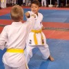 karate